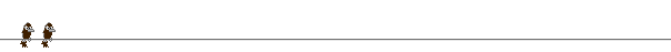 birdbar